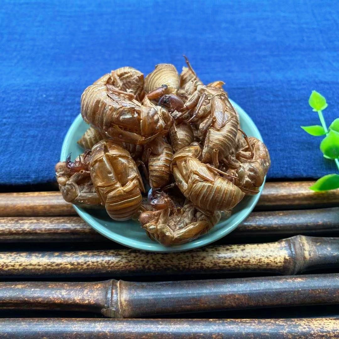 蝉蜕散装金蝉知了皮蝉壳蝉衣虫退蝉退老股能非其他药食同源食品