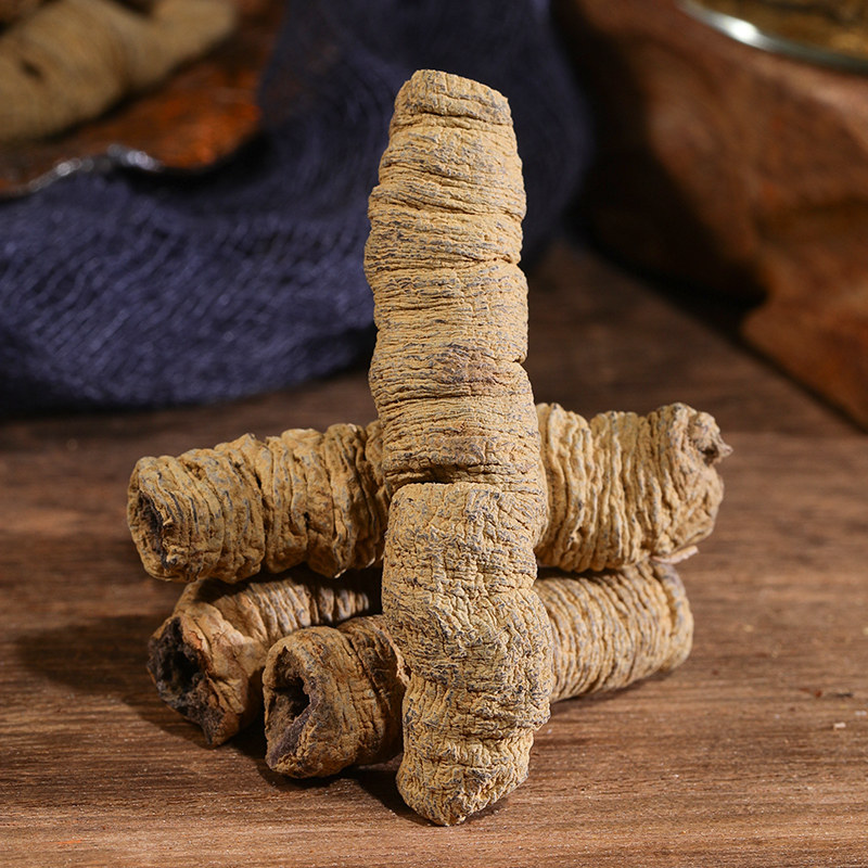 巴戟天中药材旗舰店野生特级新鲜杜仲大力泡酒茶买其他药食同源食品