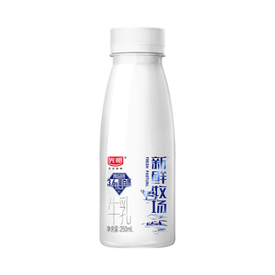 光明牛奶新鲜牧场高品质牛乳儿童学生营养早餐奶高温杀菌乳250ml