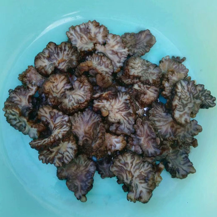 大个头猴脑菇核桃菌干货500g海参菇玛咖菌纯天然酒店食材黑松菌 - 馋