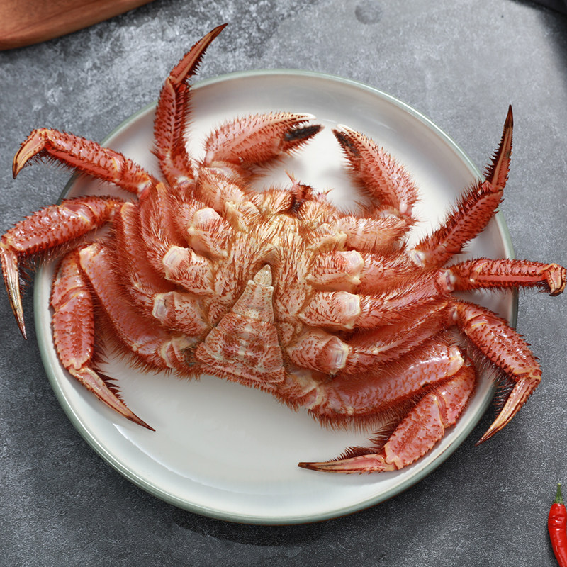 arviefresh国内速冻红毛2只单只1214斤冷冻海鲜新鲜红毛蟹