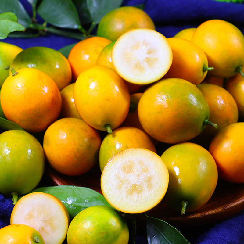 金桔水果新鲜广西融安小金滑皮脆皮金橘孕妇桔子