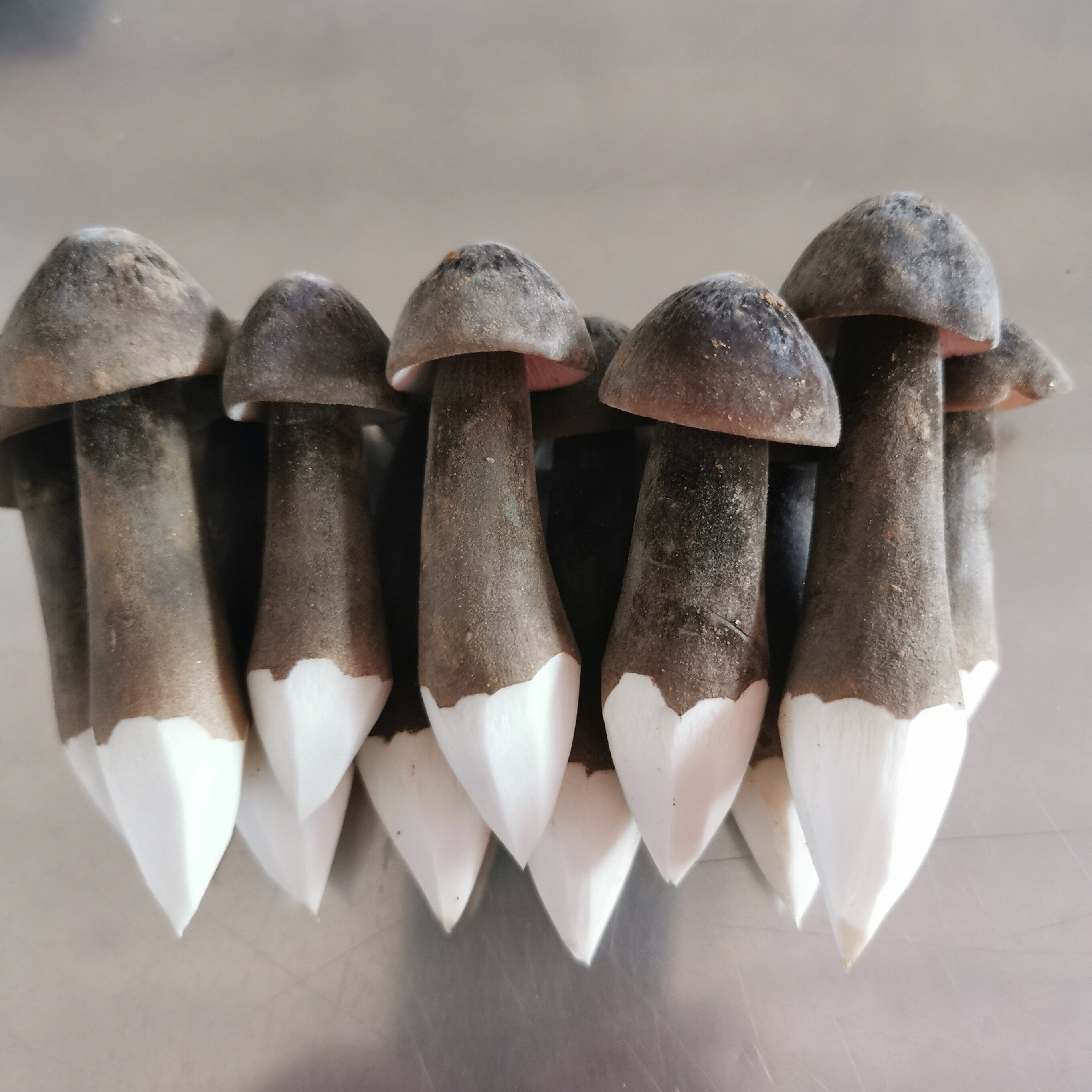 活菇林新鲜黑皮鸡枞菌云南特产珍惜现采食用蘑菇餐饮特色食材供应 - 