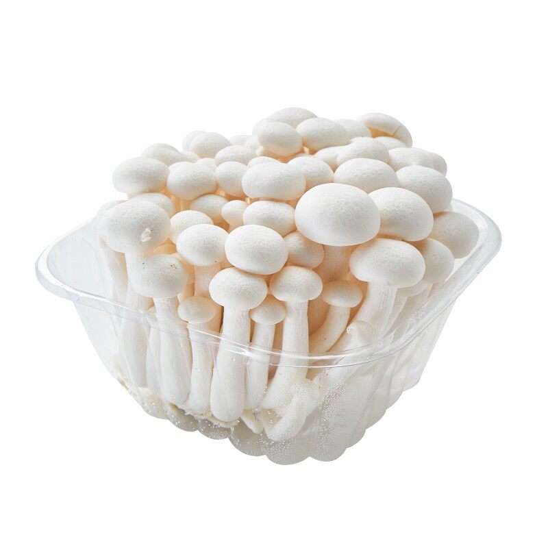 新鲜白玉菇150克白雪菇海鲜菇盒装 超市酒店火锅供应食材10盒 包邮