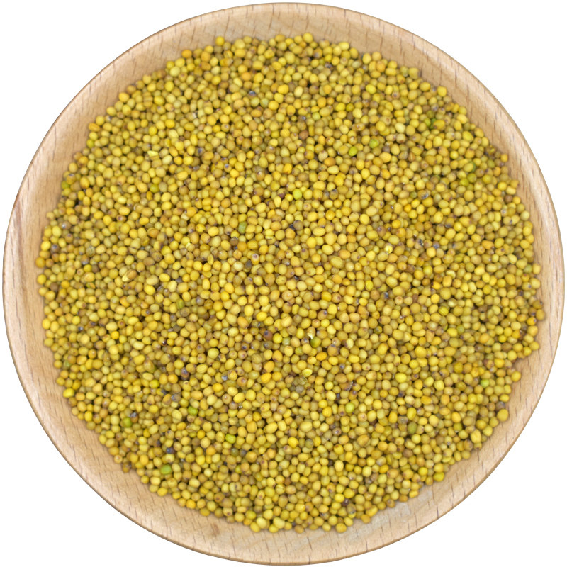 芥末中药材芥茉菜籽芥菜香料末子籽黄芥子黄芥子其他药食同源食品