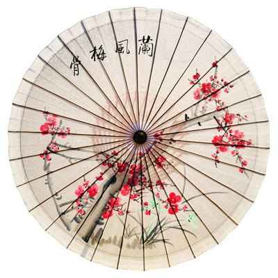 唐风宋雨油纸伞传统雨伞遮雨实用中国风复古典手绘梅花兰风梅骨