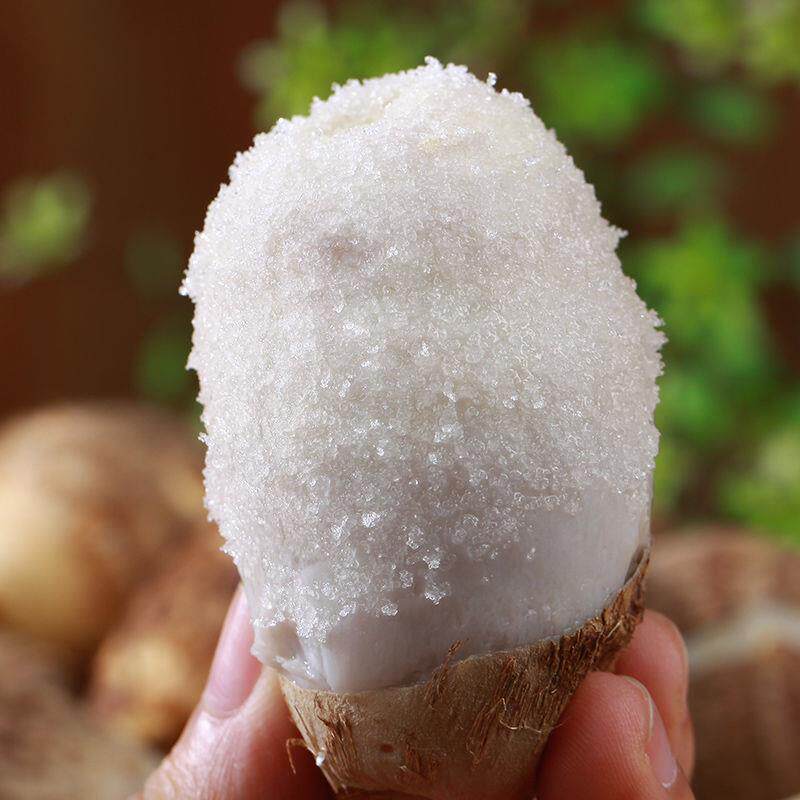 芋头包邮山东新鲜鲜牛奶小芋头农家大毛头小香芋芋头