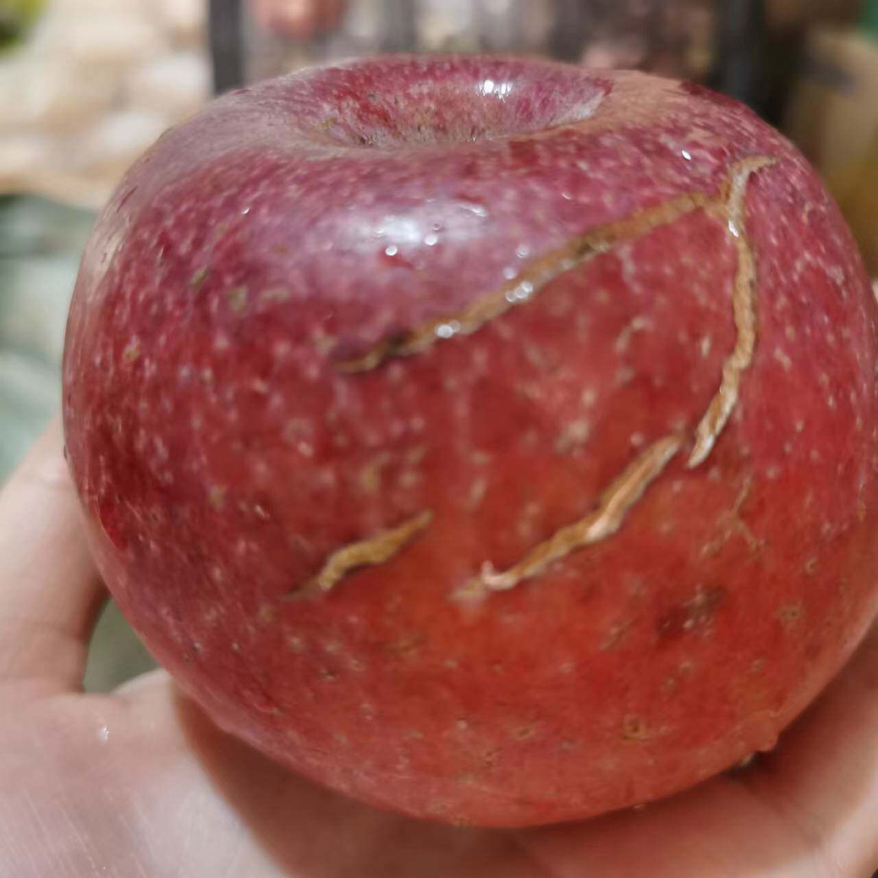 秀水苹果2022山东五莲水果原生态5斤脆甜多汁苹果