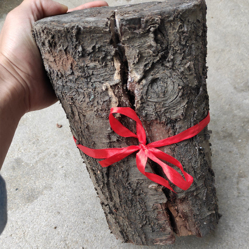 雷击正宗木桃桃木自然雷劈明清桃树雷震木雕刻木雕