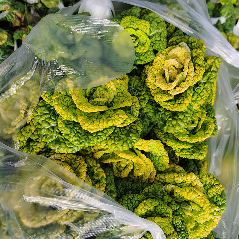 黄心菜新鲜大叶青菜5斤当季蔬菜包邮农家自种叶菜类