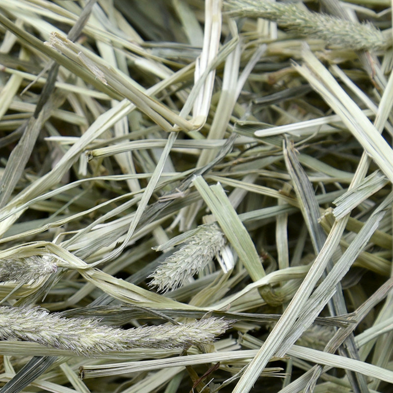 摩西草新牧草兔子龙猫粮食用品豚鼠荷兰饲料兔兔干草