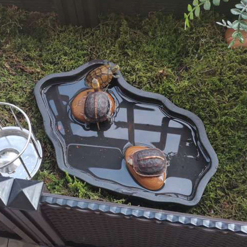 专用黄缘闭壳龟饮水水盆安缘台缘洗澡盆生态环境造景龟