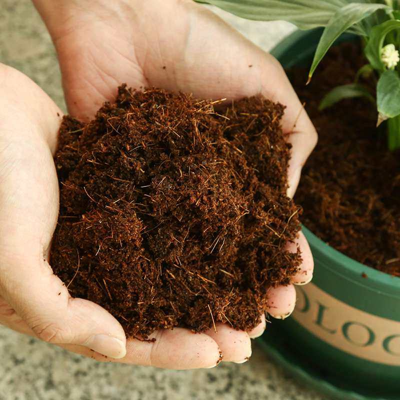 椰砖营养通用椰土椰糠砖粗椰壳多肉大块脱盐家庭园艺肥料