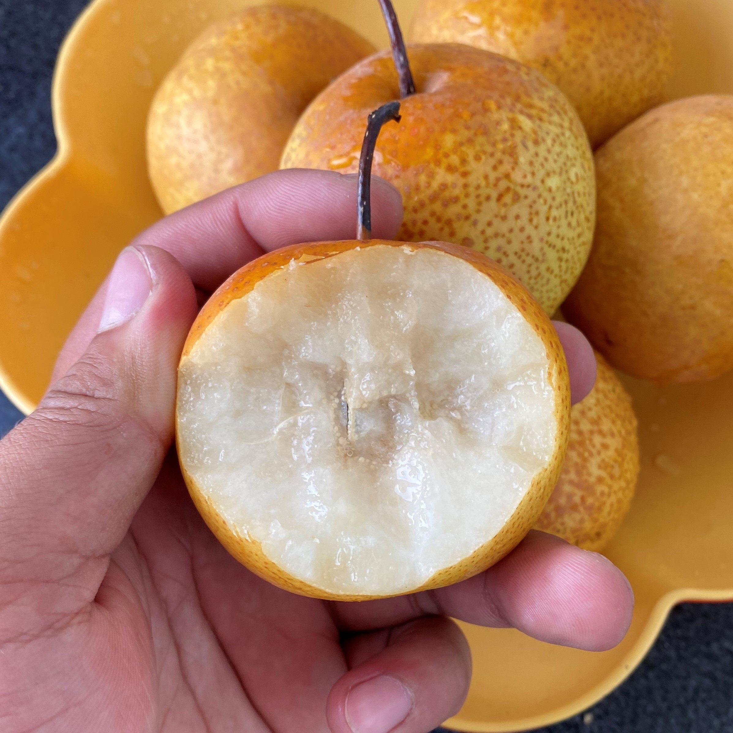 东北特产花盖梨软新鲜水果可做冻梨香水梨南梨