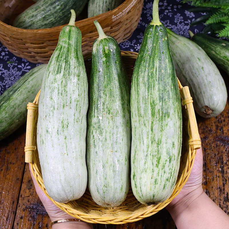 山东羊角甜瓜5斤新鲜水果应当当季脆甜小香甜瓜