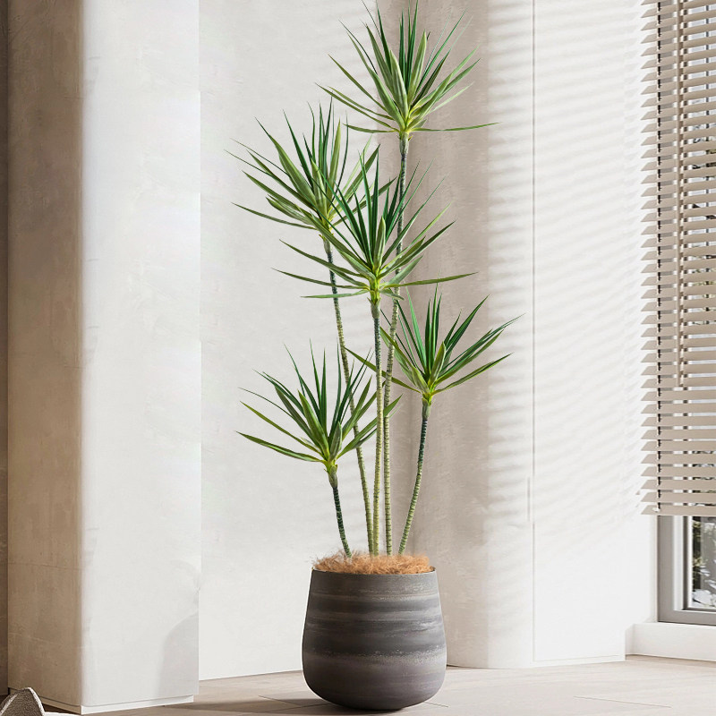 绿植仿真龙舌植物仿生装饰室内客厅高端轻奢仿真植物盆景