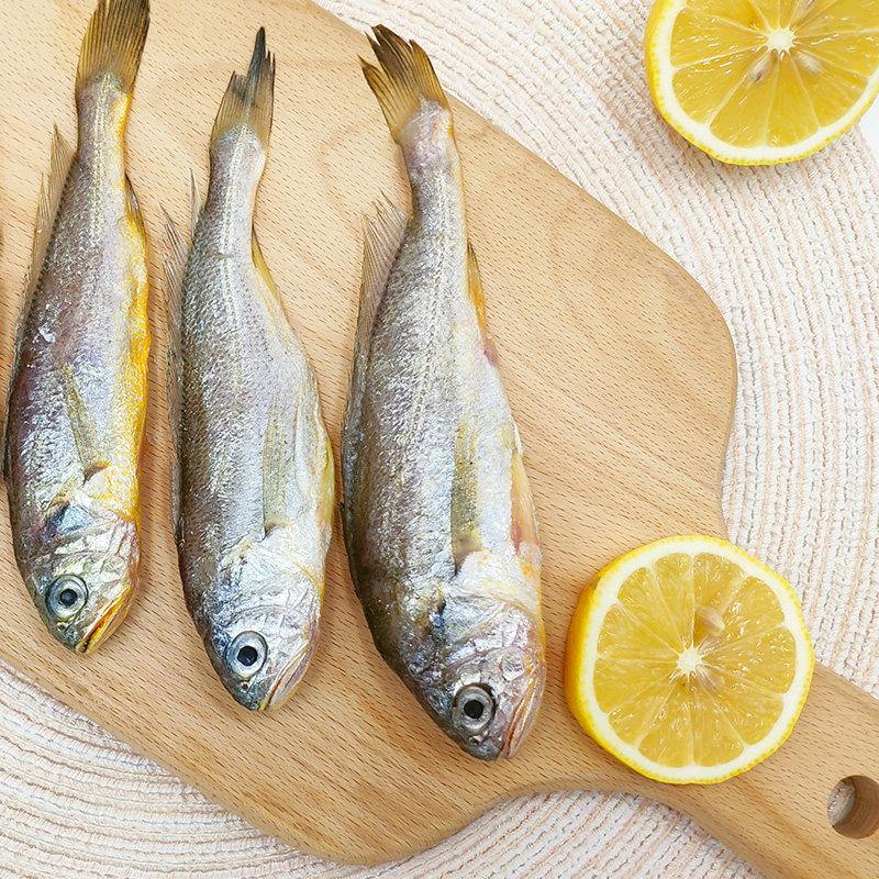 新鱼港舟山小黄黄鱼新鲜冷冻野生海鲜黄花鱼东海黄鱼