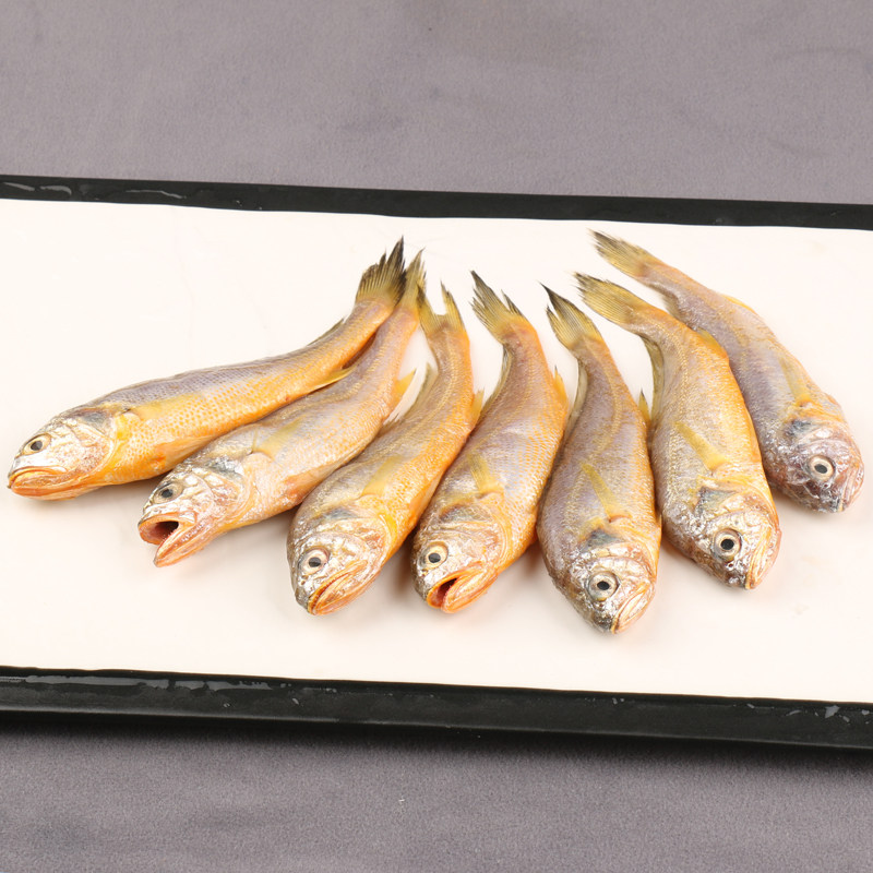 新鱼港66g4斤野生舟山小黄黄鱼超低温单冻顺丰黄鱼