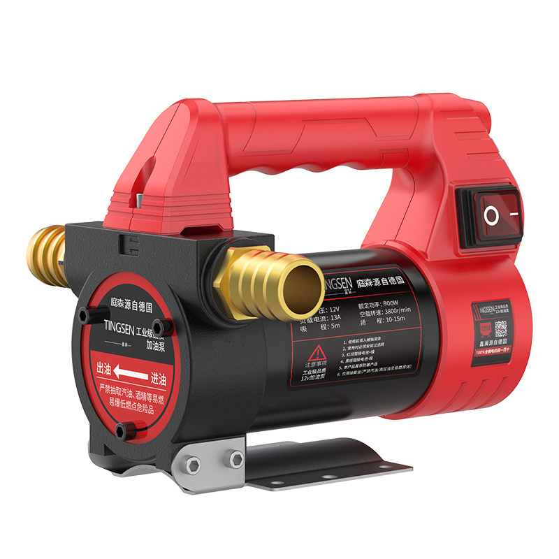德国抽油油泵12v24v220v神器加油机电动柴油小型油抽电泵