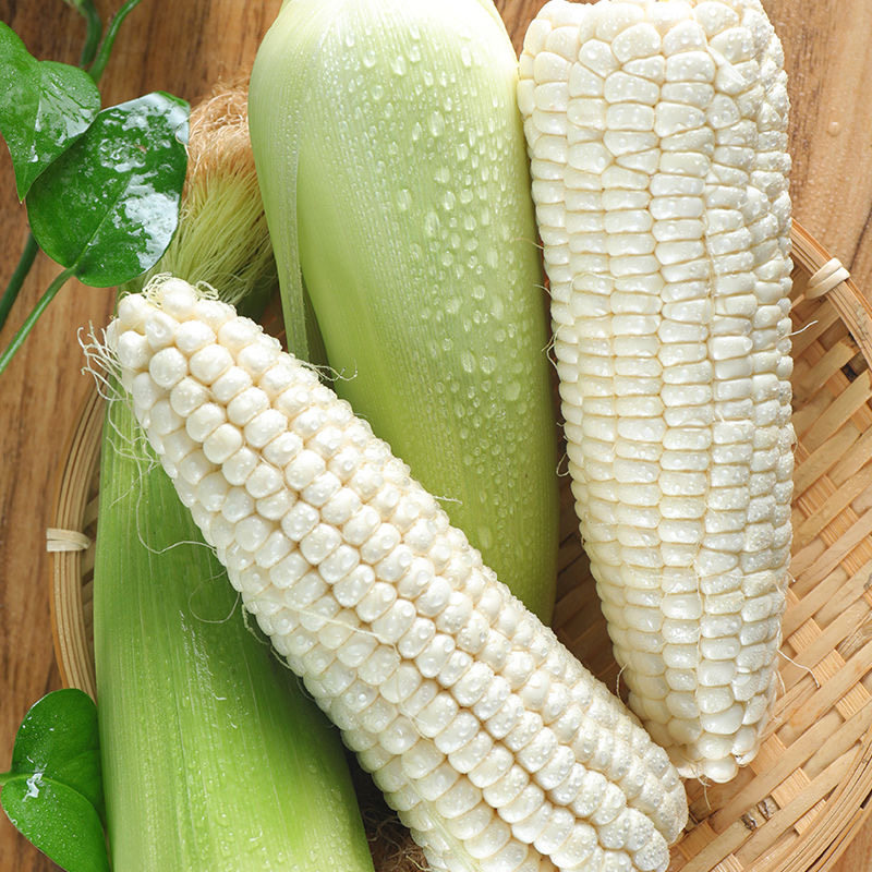玉米新鲜白糯玉米棒甜粘粗粮带箱10斤新鲜玉米