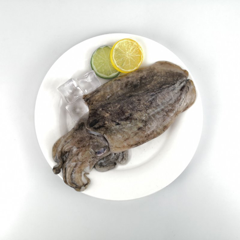 东海野生墨鱼新鲜鲜活冷冻目鱼乌贼章鱼墨斗鱼冷冻墨鱼