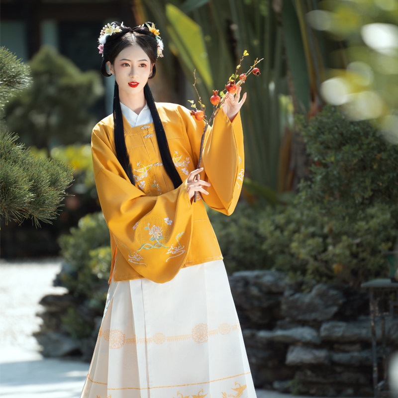 百褶裙汉尚尚豪原创汉服月凤中国风女织金龙纹明汉服