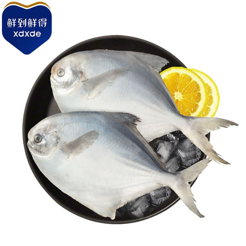 鲳鱼鲜得400g新鲜冷冻深海平鱼东海鲳鱼