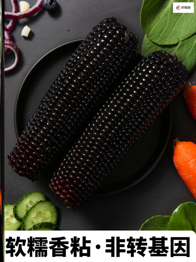 玉米东北黑玉乌粒金花玉米棒整箱甜糯黑色软糯玉米
