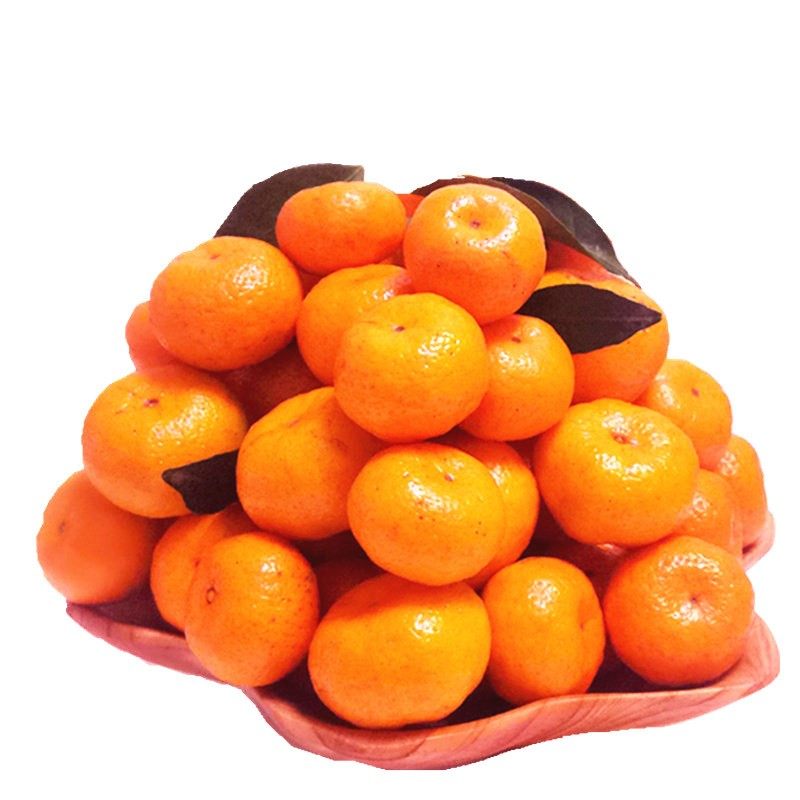 正宗10月份南丰蜜桔新鲜贡桔江西特产水果桔子手机保护套