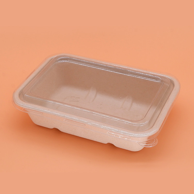 可降降解一次性饭盒长方形环保餐盒外卖打包盒带一次性餐盒