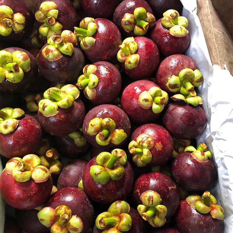 山竹五斤云南泰国进山热带水果南山新鲜水果清甜手机保护套