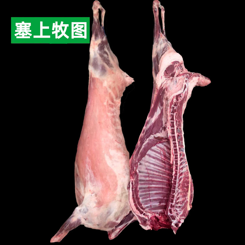 滩羊宁夏清真新疆30斤全羊羔羊半只新鲜盐池生羊肉