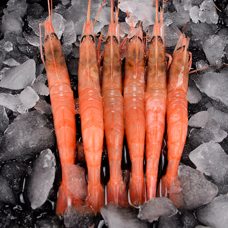 东海舟山鲜活红头海鲜大虾红虾1斤约36尾左右冻虾