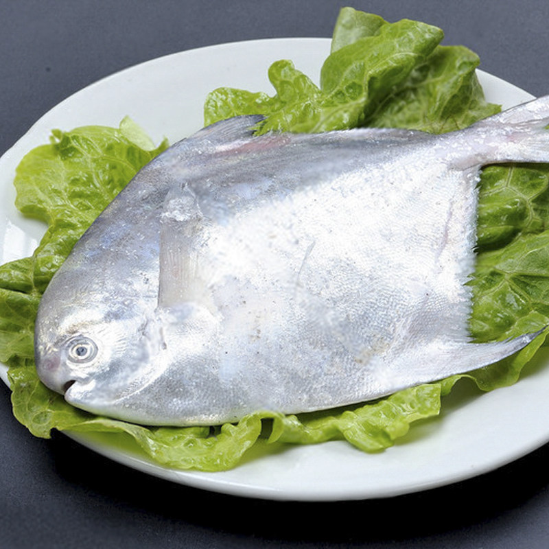 鲳鱼新鲜冷冻银鲳鱼舟山白鲳鱼平鱼鲳鳊鱼仓鱼小昌鱼烧烤3斤