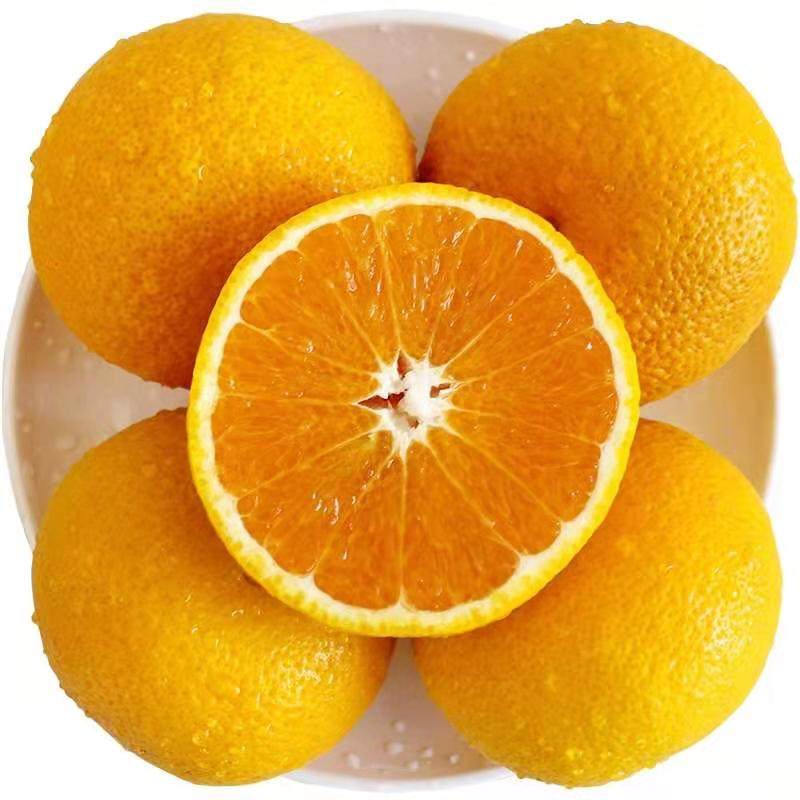 肉嫩多汁甜心孕妇当季新鲜水果纯甜水晶柚子橙