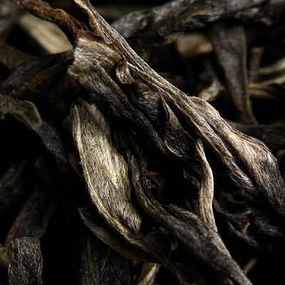 2021头春新茶易武弯弓云南古树普洱茶普洱生茶700年纯料茶饼