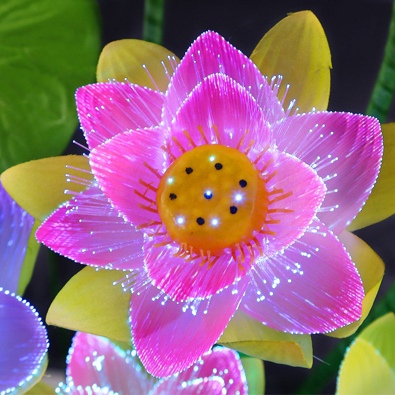 花灯光纤大号七彩led莲花观音荷花佛堂礼佛荷花灯