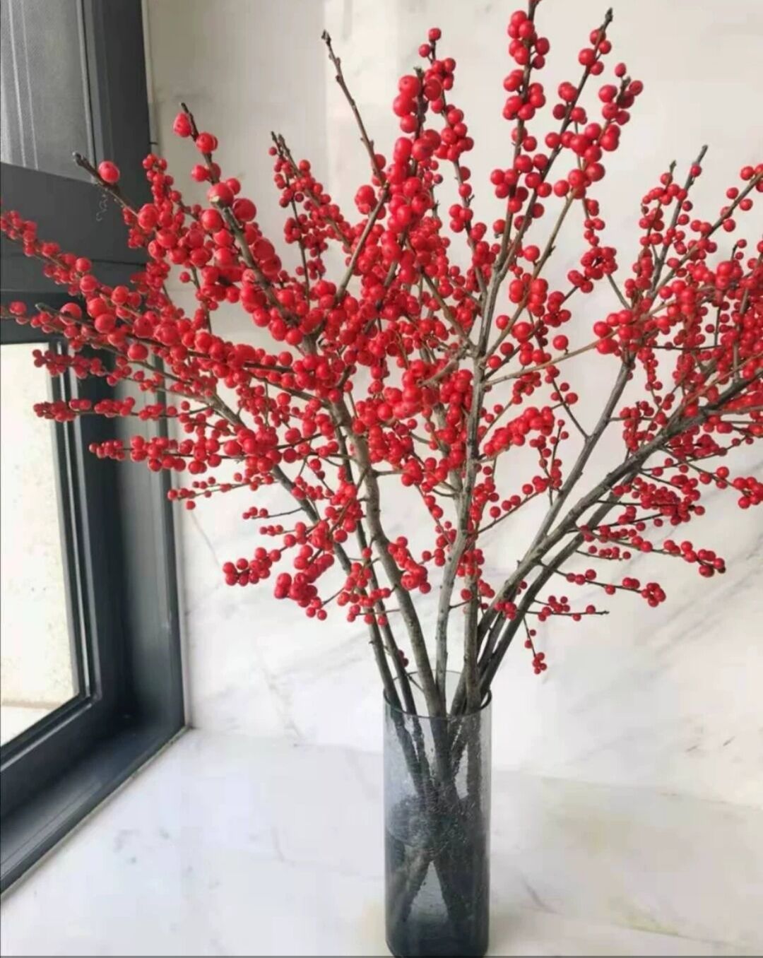 北美切枝干花植物水养鲜切冬青以水可以进口鲜花速递(同城)