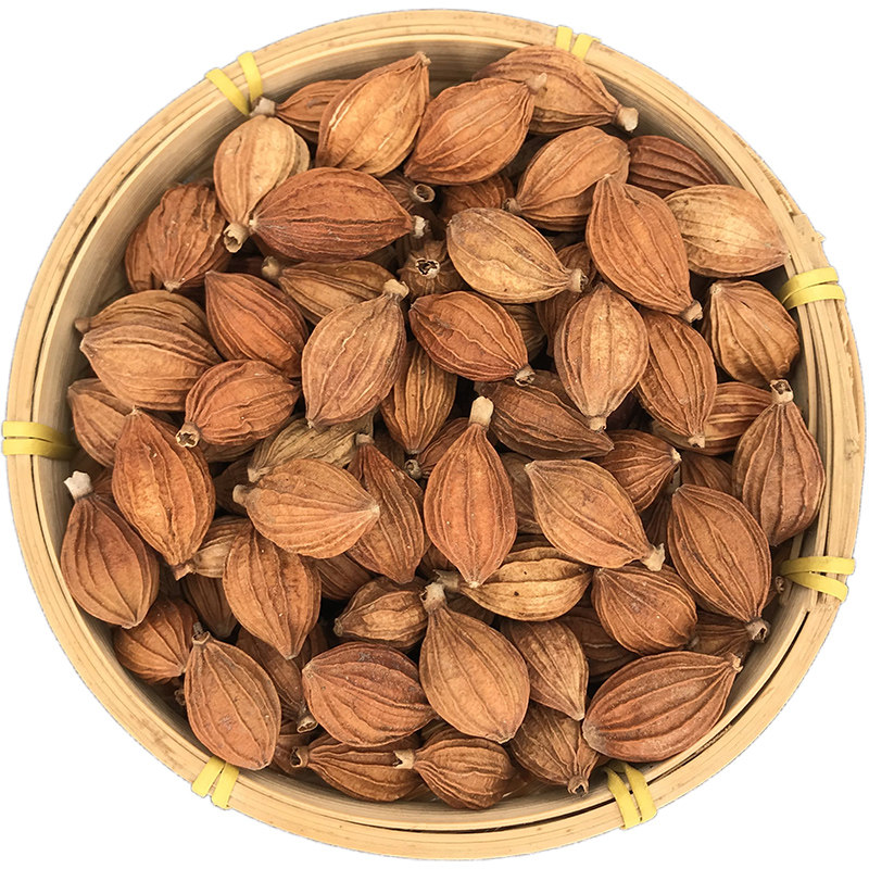 砂仁仓谣香砂500g金沙仁广阳春香料调料大全花椒