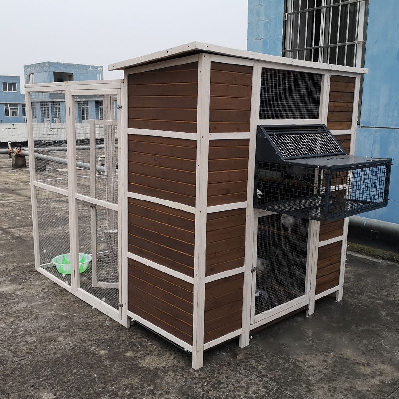 户外赛鸽笼信鸽笼鸽子窝鸽棚家用大码组合拼装鸽舍养殖笼大型鸽笼