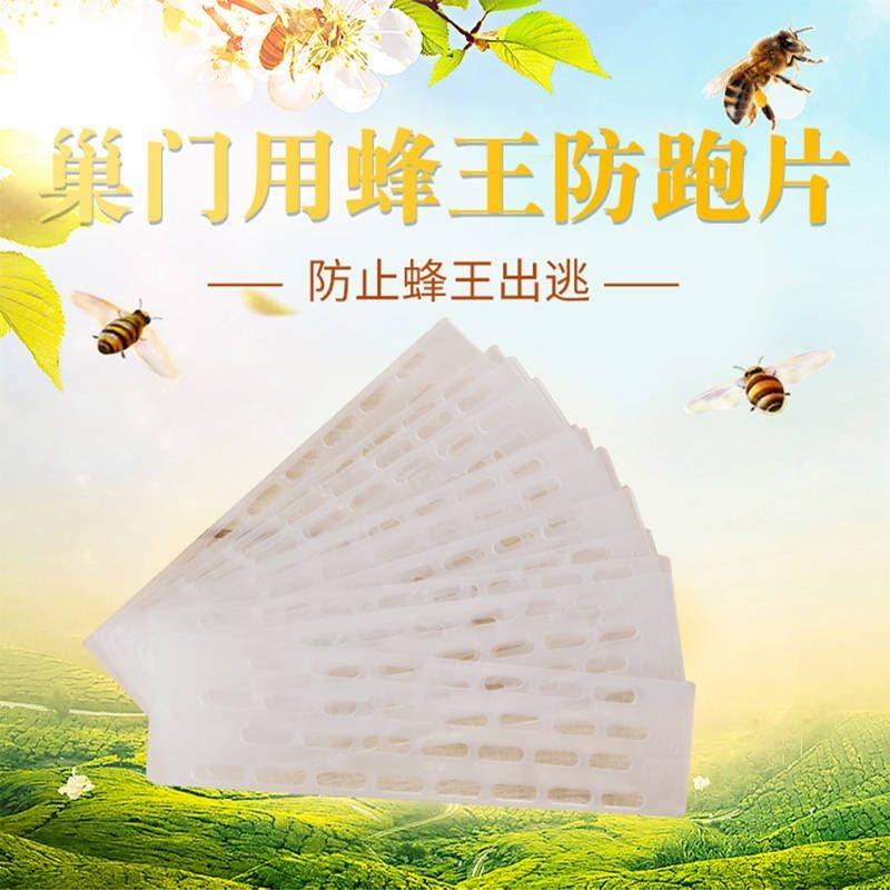 中蜂防跑片防盗器蜂王蜂箱隔珊片隔板蜜蜂箱防逃王片养蜂工具包邮
