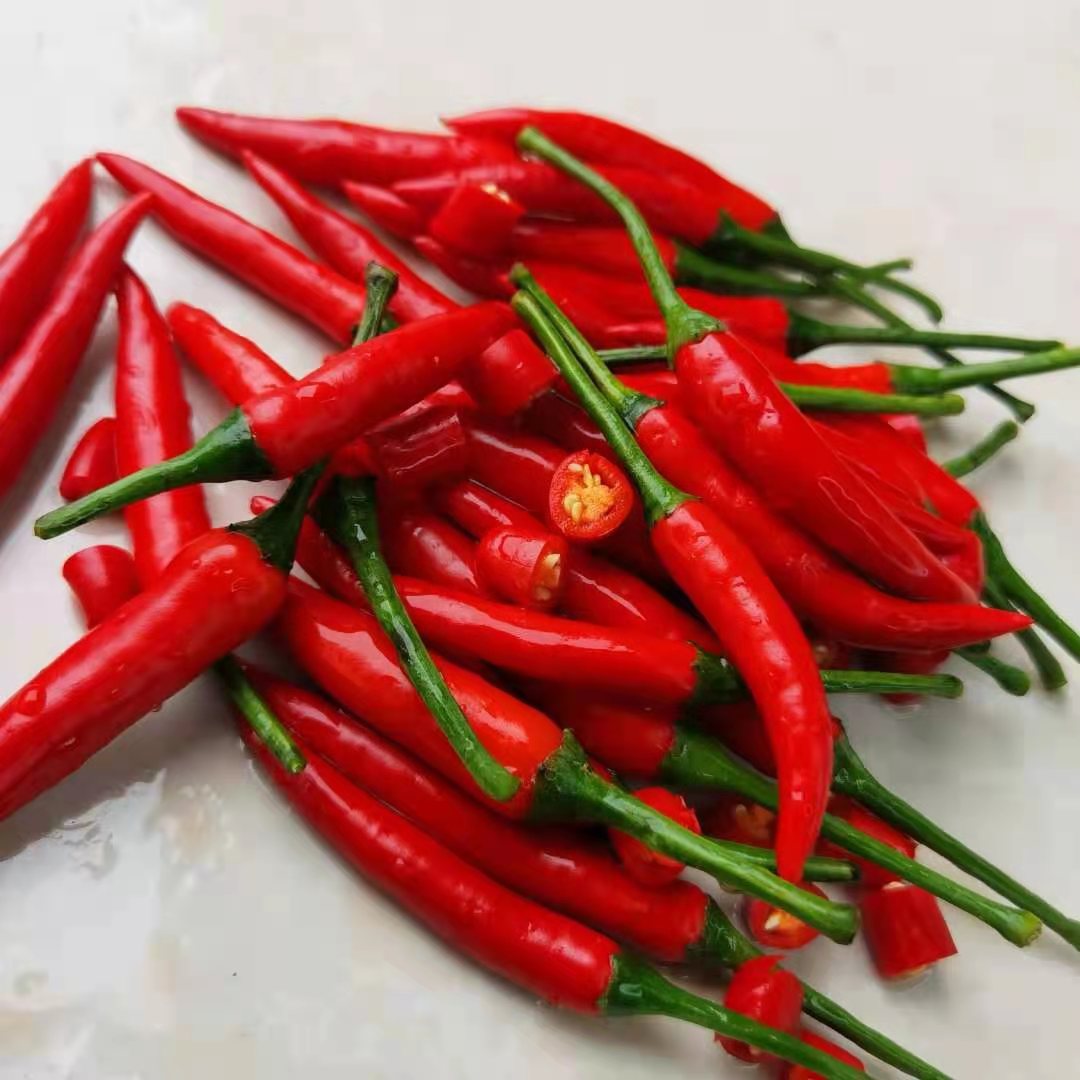 湖南农家小米椒新鲜朝天超级红辣椒5斤包邮指天椒辣椒