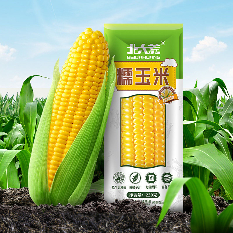 北大荒水果早餐米代苞米黄糯包装真空包真空甜黏玉米