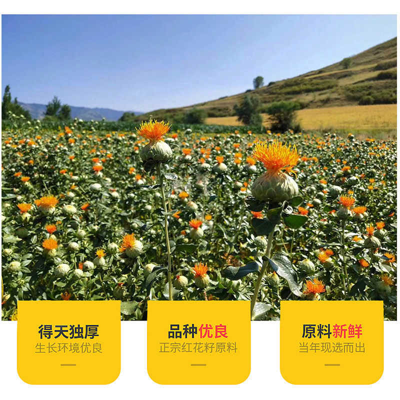 中粮塔原红花籽调和油新疆5l桶装家用压榨健康红花籽油