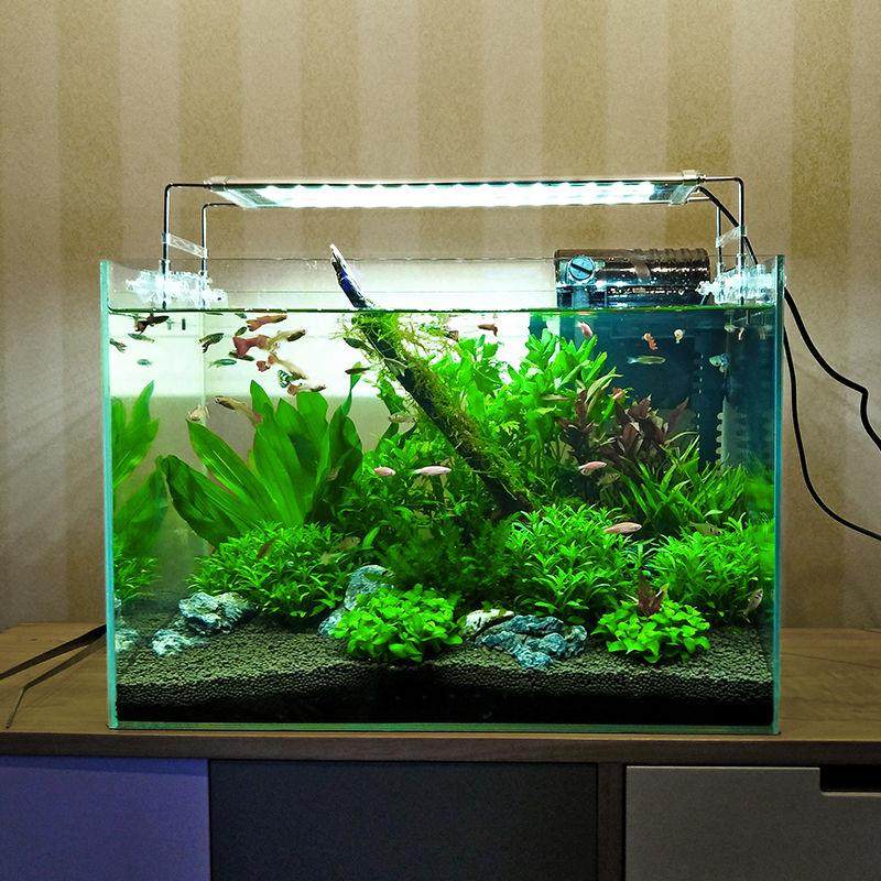 鱼缸新款超白玻璃斗鱼办公办公桌桌面客厅生态鱼缸