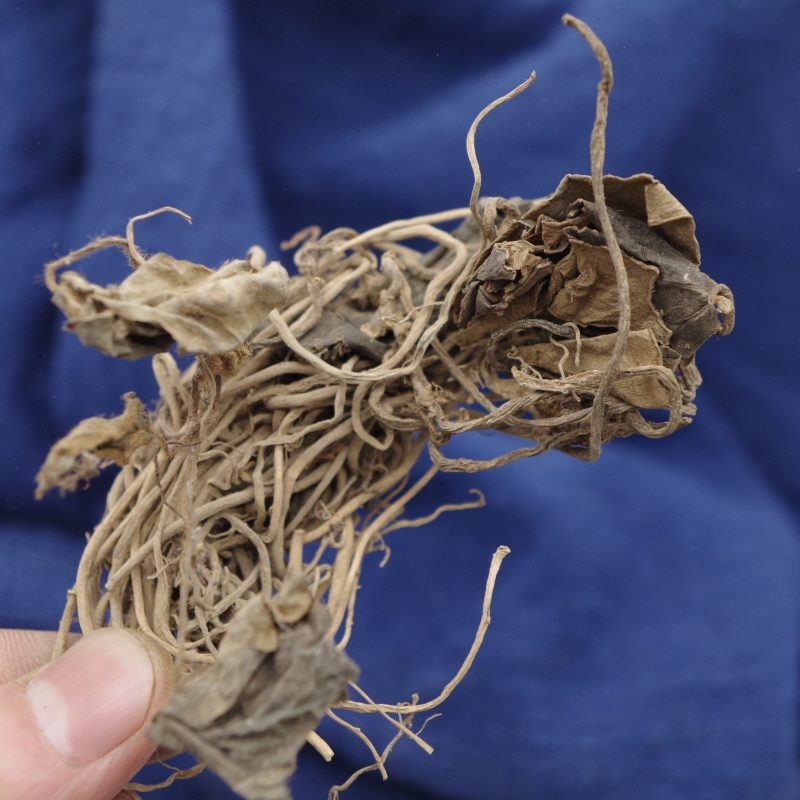 耳环金耳环中药材土细一块上金质量保证500克包邮其他药食同源食品