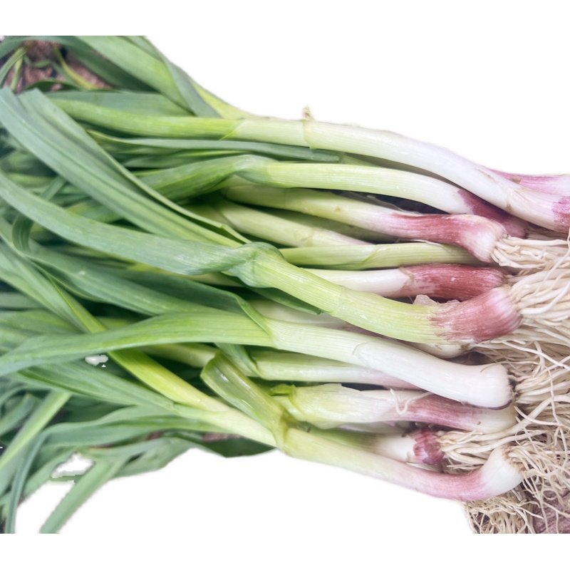 大蒜安徽红紫蔬菜应季红根蒜苗叶青无为新鲜叶菜类