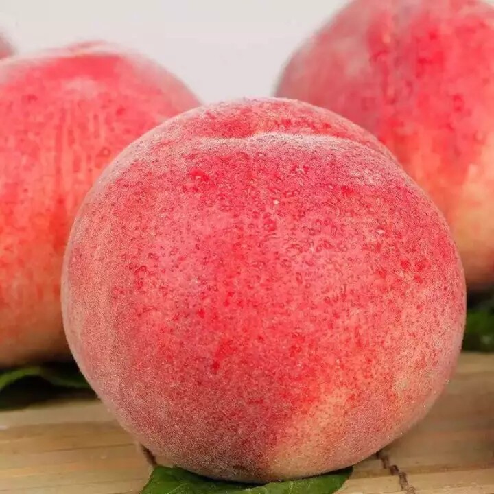 售罄新鲜河北现摘大桃久保5斤精品68个当季桃