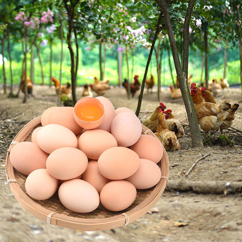 【单枚仅6毛】大别山土鸡蛋40枚_热品库_性价比 省钱购
