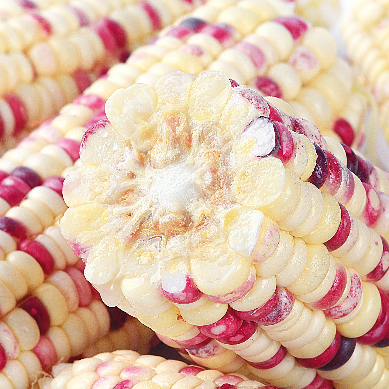 广西花糯玉米现摘新鲜当季水果玉米粒棒甜苞米新鲜玉米